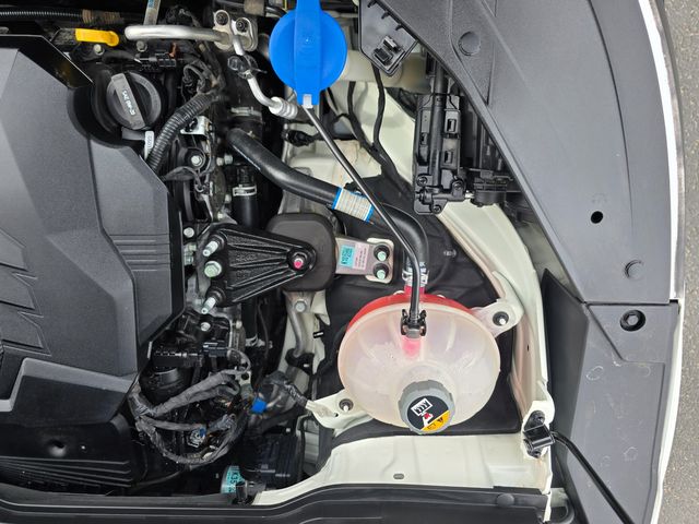 2022 Kia Carnival EX