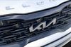 2022 Kia Telluride SX | Elyria, OH | PHD Auto Group 2022 Kia Telluride SX | Elyria, OH | PHD Auto Group