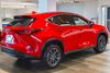 2022 Lexus NX 250 | Honolulu, HI | Autosource Hawaii 2022 Lexus NX 250 | Honolulu, HI | Autosource Hawaii
