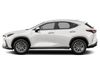 2022 Lexus NX 250 | Honolulu, HI | Autosource Hawaii 2022 Lexus NX 250 | Honolulu, HI | Autosource Hawaii