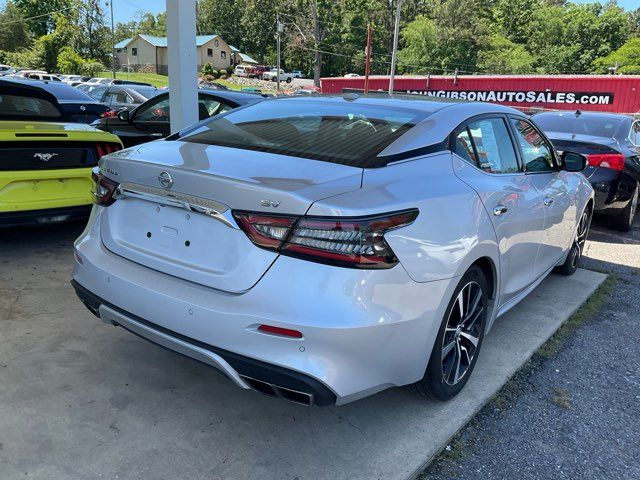 2022 Nissan Maxima 3.5 SV - John Gibson Auto Sales Hot Springs 2022 Nissan Maxima 3.5 SV - John Gibson Auto Sales Hot Springs