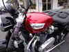 2022 Triumph Bonneville Speedmaster  | Ephrata, PA | Oregon Pike Motors