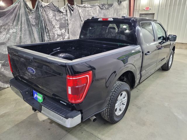 2023 Ford F-150 Super Crew XLT 3.5L 4x4 - Warranty - Financing - | Dickinson, ND | Autorama Auto Sales and Rentals 2023 Ford F-150 Super Crew XLT 3.5L 4x4 - Warranty - Financing - | Dickinson, ND | Autorama Auto Sales and Rentals