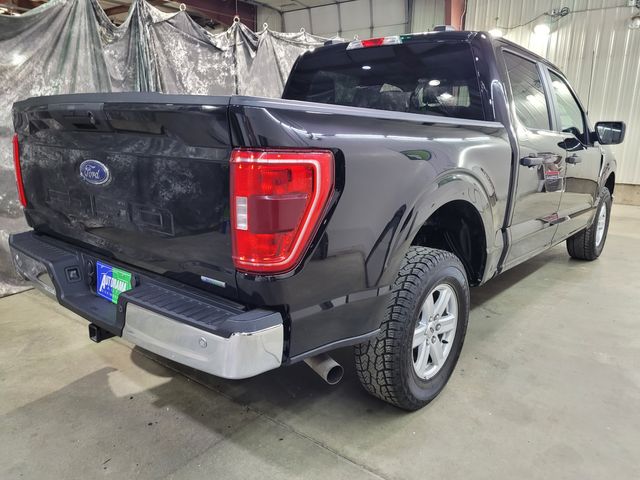 2023 Ford F-150 Super Crew XLT 3.5L 4x4 - Warranty - Financing - | Dickinson, ND | Autorama Auto Sales and Rentals 2023 Ford F-150 Super Crew XLT 3.5L 4x4 - Warranty - Financing - | Dickinson, ND | Autorama Auto Sales and Rentals