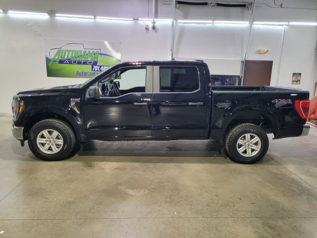 2023 Ford F-150 Super Crew XLT 3.5L 4x4 - Warranty - Financing - | Dickinson, ND | Autorama Auto Sales and Rentals 2023 Ford F-150 Super Crew XLT 3.5L 4x4 - Warranty - Financing - | Dickinson, ND | Autorama Auto Sales and Rentals