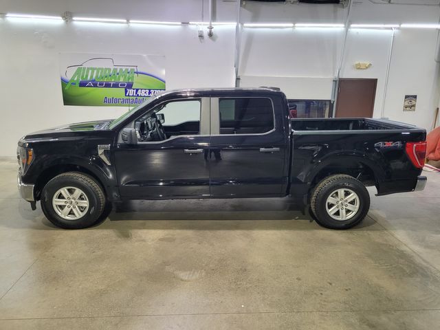2023 Ford F-150 Super Crew XLT 3.5L 4x4 - Warranty - Financing - | Dickinson, ND | Autorama Auto Sales and Rentals 2023 Ford F-150 Super Crew XLT 3.5L 4x4 - Warranty - Financing - | Dickinson, ND | Autorama Auto Sales and Rentals
