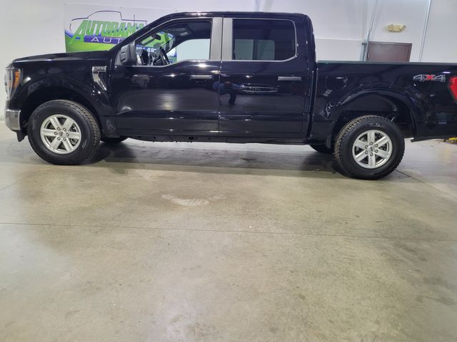 2023 Ford F-150 Super Crew XLT 3.5L 4x4 - Warranty - Financing - | Dickinson, ND | Autorama Auto Sales and Rentals 2023 Ford F-150 Super Crew XLT 3.5L 4x4 - Warranty - Financing - | Dickinson, ND | Autorama Auto Sales and Rentals