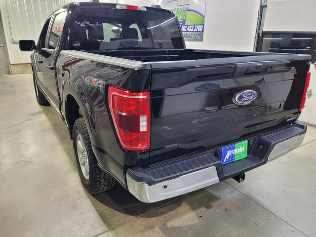 2023 Ford F-150 Super Crew XLT 3.5L 4x4 - Warranty - Financing - | Dickinson, ND | Autorama Auto Sales and Rentals 2023 Ford F-150 Super Crew XLT 3.5L 4x4 - Warranty - Financing - | Dickinson, ND | Autorama Auto Sales and Rentals