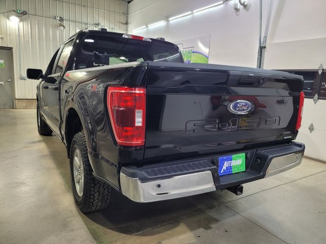 2023 Ford F-150 Super Crew XLT 3.5L 4x4 - Warranty - Financing - | Dickinson, ND | Autorama Auto Sales and Rentals 2023 Ford F-150 Super Crew XLT 3.5L 4x4 - Warranty - Financing - | Dickinson, ND | Autorama Auto Sales and Rentals