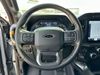 2023 Ford F-150 Tremor | Plano, TX | AutoRevo PowerSites - Demo4