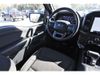 2023 Ford F-150 XLT | Tomball, TX | Ask Jorge Lopez 2023 Ford F-150 XLT | Tomball, TX | Ask Jorge Lopez