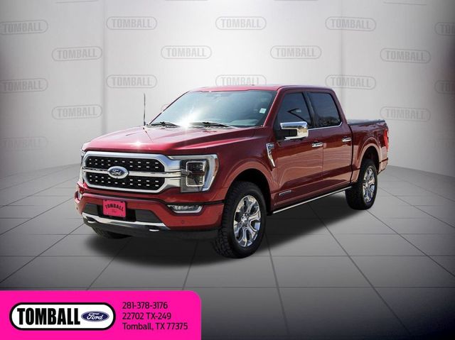 2023 Ford F-150 Platinum