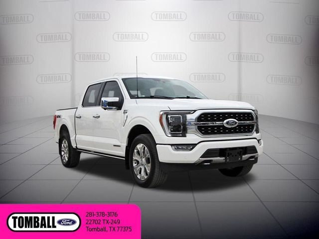 2023 Ford F-150 Platinum | Tomball, TX | Ask Jorge Lopez