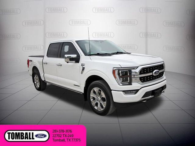 2023 Ford F-150 Platinum