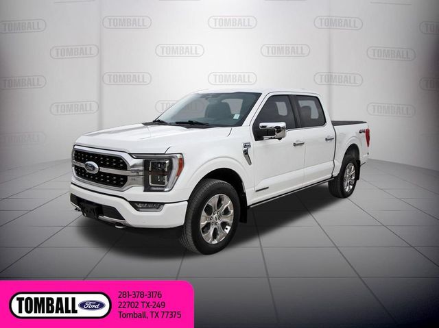 2023 Ford F-150 Platinum