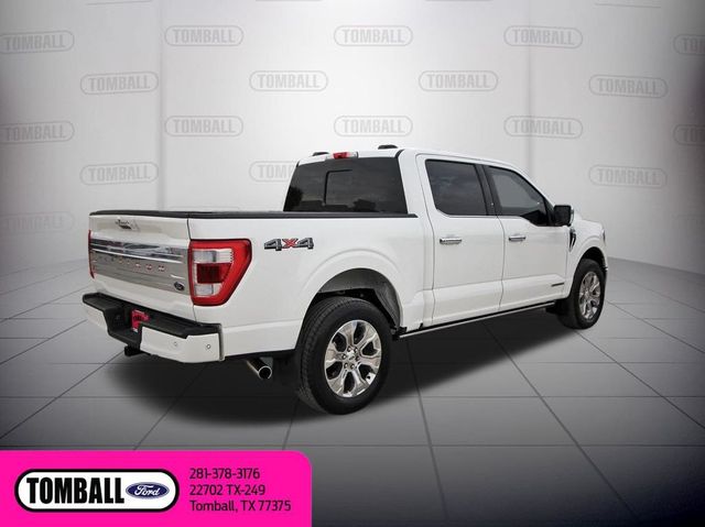 2023 Ford F-150 Platinum