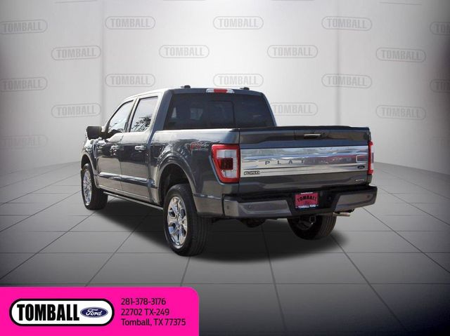 2023 Ford F-150 Platinum