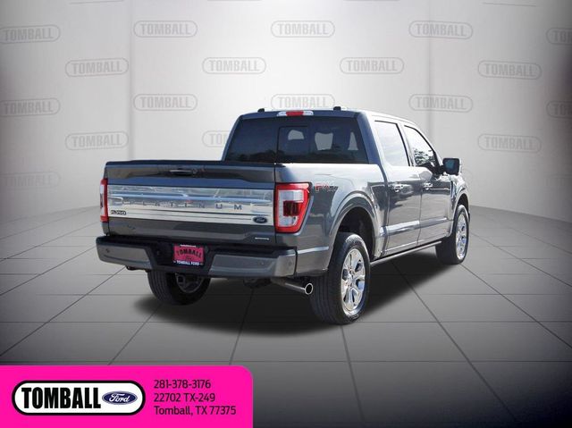 2023 Ford F-150 Platinum