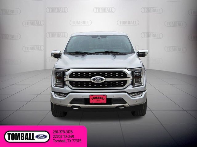 2023 Ford F-150 Platinum
