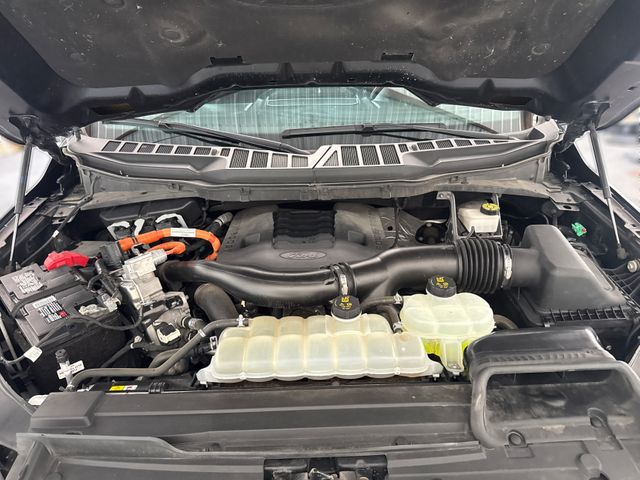 2023 Ford F-150 XLT | Houston, TX | Texas Star Motors 2023 Ford F-150 XLT | Houston, TX | Texas Star Motors