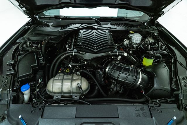 2023 Ford Mustang GT Premium Supercharged Rare Mischievous Purple | Carrollton, TX | Texas Hot Rides 2023 Ford Mustang GT Premium Supercharged Rare Mischievous Purple | Carrollton, TX | Texas Hot Rides