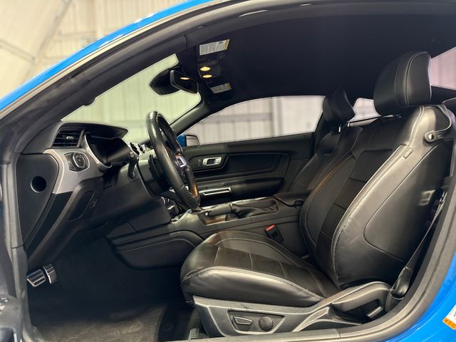 2023 Ford Mustang GT Premium | Houston, TX | Texas Star Motors 2023 Ford Mustang GT Premium | Houston, TX | Texas Star Motors