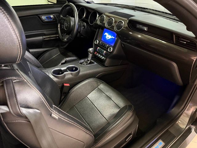 2023 Ford Mustang GT Premium 2dr Fastback | Houston, TX | Houston Auto Credit 2023 Ford Mustang GT Premium 2dr Fastback | Houston, TX | Houston Auto Credit