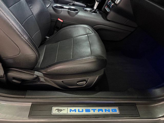 2023 Ford Mustang GT Premium 2dr Fastback | Houston, TX | Houston Auto Credit 2023 Ford Mustang GT Premium 2dr Fastback | Houston, TX | Houston Auto Credit