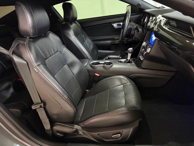 2023 Ford Mustang GT Premium 2dr Fastback | Houston, TX | Houston Auto Credit 2023 Ford Mustang GT Premium 2dr Fastback | Houston, TX | Houston Auto Credit