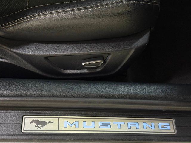 2023 Ford Mustang GT Premium 2dr Fastback | Houston, TX | Houston Auto Credit 2023 Ford Mustang GT Premium 2dr Fastback | Houston, TX | Houston Auto Credit