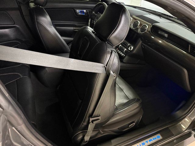 2023 Ford Mustang GT Premium 2dr Fastback | Houston, TX | Houston Auto Credit 2023 Ford Mustang GT Premium 2dr Fastback | Houston, TX | Houston Auto Credit