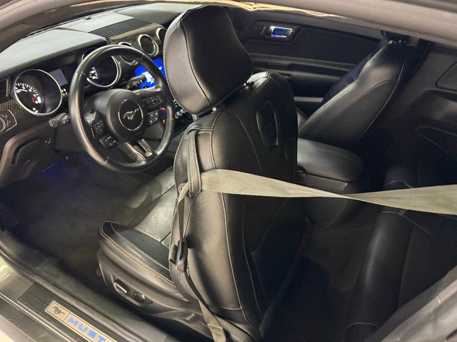 2023 Ford Mustang GT Premium 2dr Fastback | Houston, TX | Houston Auto Credit 2023 Ford Mustang GT Premium 2dr Fastback | Houston, TX | Houston Auto Credit