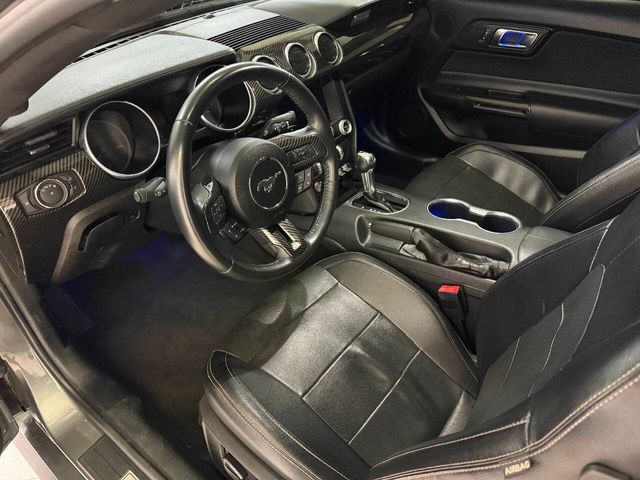 2023 Ford Mustang GT Premium 2dr Fastback | Houston, TX | Houston Auto Credit 2023 Ford Mustang GT Premium 2dr Fastback | Houston, TX | Houston Auto Credit