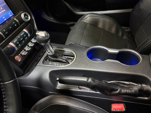 2023 Ford Mustang GT Premium 2dr Fastback | Houston, TX | Houston Auto Credit 2023 Ford Mustang GT Premium 2dr Fastback | Houston, TX | Houston Auto Credit