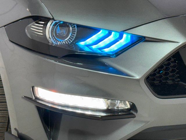 2023 Ford Mustang GT Premium 2dr Fastback | Houston, TX | Houston Auto Credit 2023 Ford Mustang GT Premium 2dr Fastback | Houston, TX | Houston Auto Credit