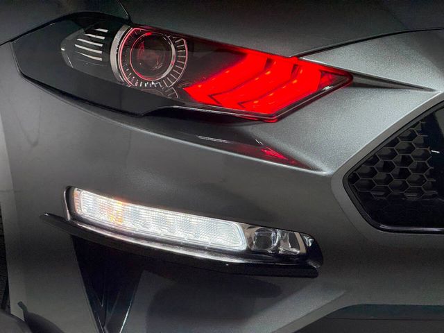 2023 Ford Mustang GT Premium 2dr Fastback | Houston, TX | Houston Auto Credit 2023 Ford Mustang GT Premium 2dr Fastback | Houston, TX | Houston Auto Credit