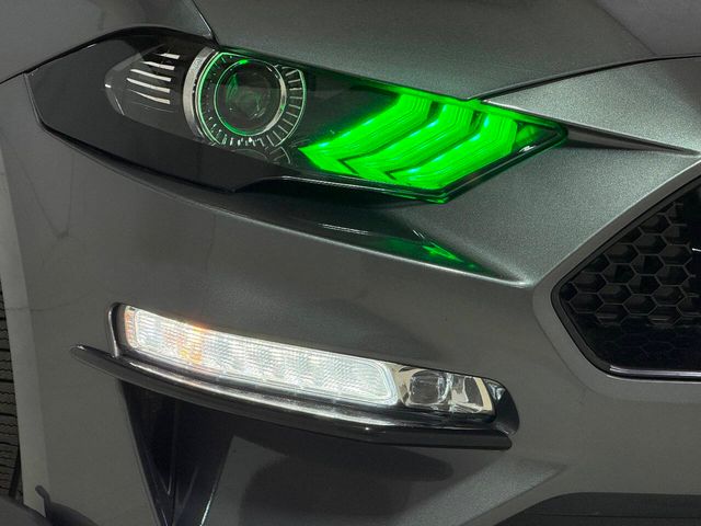 2023 Ford Mustang GT Premium 2dr Fastback | Houston, TX | Houston Auto Credit 2023 Ford Mustang GT Premium 2dr Fastback | Houston, TX | Houston Auto Credit