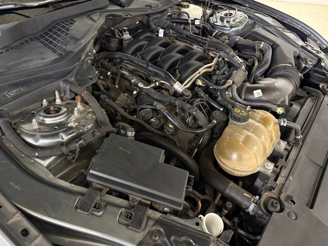 2023 Ford Mustang GT Premium 2dr Fastback | Houston, TX | Houston Auto Credit 2023 Ford Mustang GT Premium 2dr Fastback | Houston, TX | Houston Auto Credit