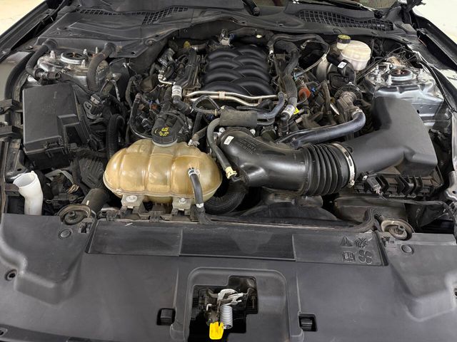 2023 Ford Mustang GT Premium 2dr Fastback | Houston, TX | Houston Auto Credit 2023 Ford Mustang GT Premium 2dr Fastback | Houston, TX | Houston Auto Credit