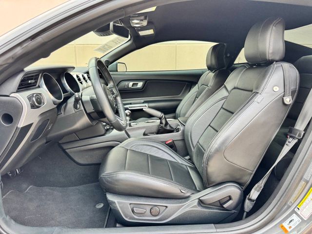 2023 Ford Mustang GT 2dr Fastback | Houston, TX | Houston Auto Credit