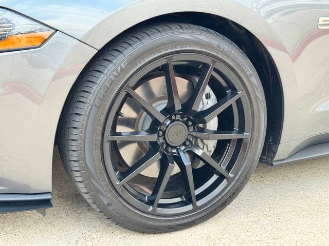 2023 Ford Mustang GT 2dr Fastback | Houston, TX | Houston Auto Credit 2023 Ford Mustang GT 2dr Fastback | Houston, TX | Houston Auto Credit