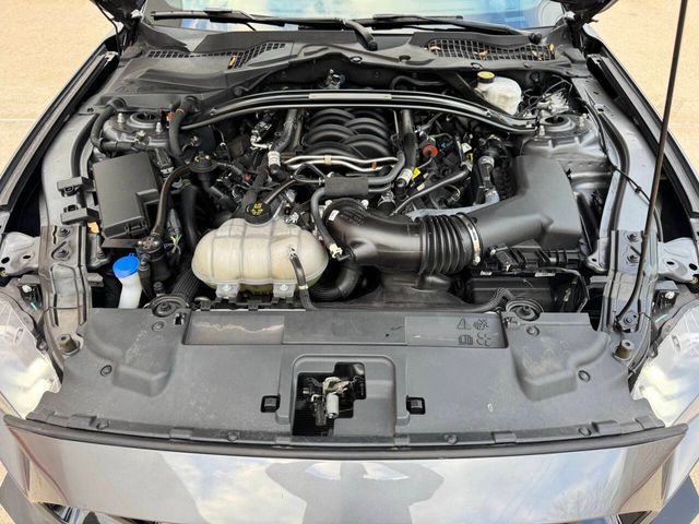 2023 Ford Mustang GT 2dr Fastback | Houston, TX | Houston Auto Credit 2023 Ford Mustang GT 2dr Fastback | Houston, TX | Houston Auto Credit