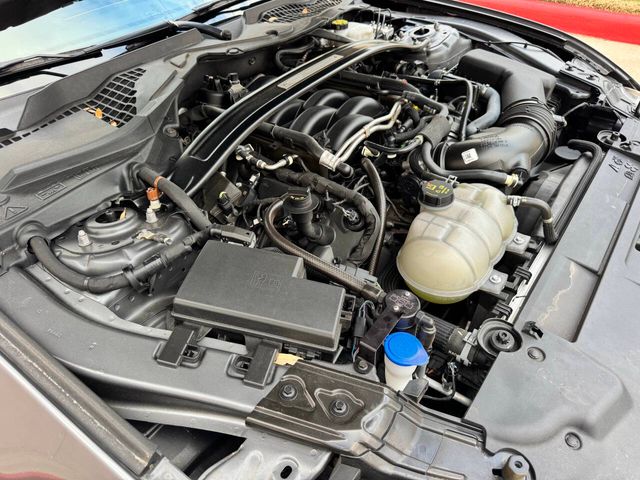 2023 Ford Mustang GT 2dr Fastback | Houston, TX | Houston Auto Credit