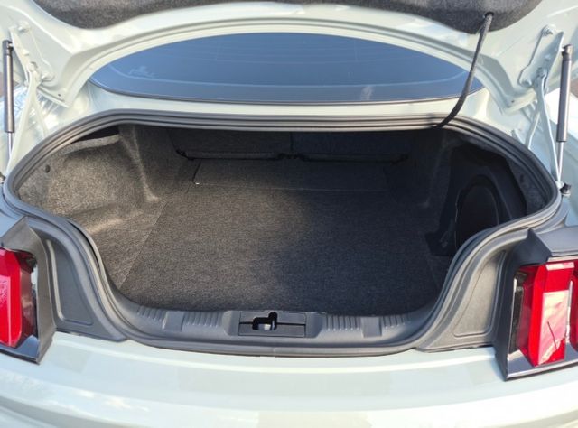 2023 Ford Mustang Mach 1 | Longwood, FL | Millenia Motors 2023 Ford Mustang Mach 1 | Longwood, FL | Millenia Motors