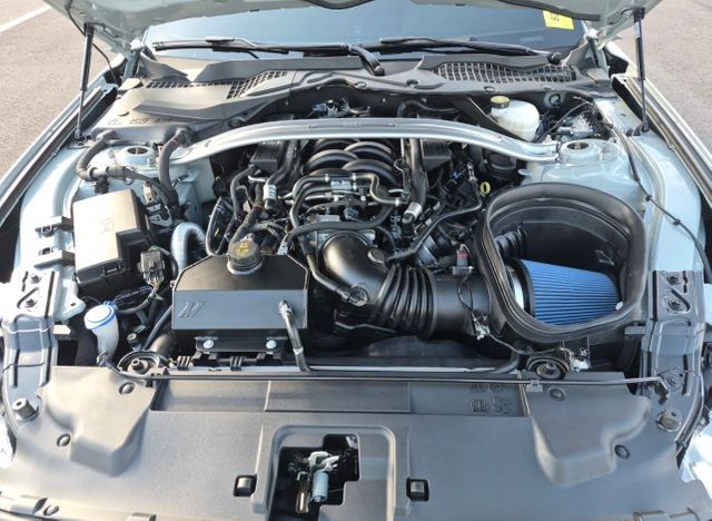 2023 Ford Mustang Mach 1 | Longwood, FL | Millenia Motors 2023 Ford Mustang Mach 1 | Longwood, FL | Millenia Motors