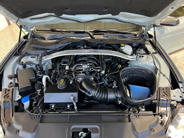 2023 Ford Mustang Mach 1 | Longwood, FL | Millenia Motors 2023 Ford Mustang Mach 1 | Longwood, FL | Millenia Motors