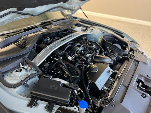 2023 Ford Mustang Mach 1 | Longwood, FL | Millenia Motors 2023 Ford Mustang Mach 1 | Longwood, FL | Millenia Motors