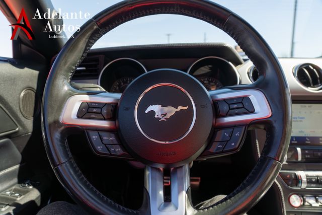 2023 Ford Mustang EcoBoost | Lubbock, TX | Adelante Autos 2023 Ford Mustang EcoBoost | Lubbock, TX | Adelante Autos