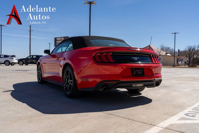 2023 Ford Mustang EcoBoost | Lubbock, TX | Adelante Autos 2023 Ford Mustang EcoBoost | Lubbock, TX | Adelante Autos