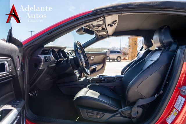 2023 Ford Mustang EcoBoost | Lubbock, TX | Adelante Autos 2023 Ford Mustang EcoBoost | Lubbock, TX | Adelante Autos